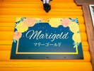 �yMarigold�z�}���[�S�[���h���v�킹��n�b�s�[�C�G���[�̊O�ςɐS���܂��B