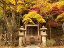 当館敷地内には温泉の効能に感謝し、薬師地蔵様が祀られています。