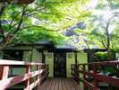 渡橋、秋には紅葉、初夏には新緑が、一年中見事な苔を見ることもできます。