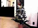 フロントのクリスマスツリー