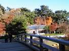 修善寺「虹の郷」の趣ある日本庭園。紅葉の時期がおすすめです。