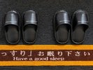 健康イオンスリッパで館内の移動もできます