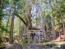【当館から車で30分】古代信仰が残る霊験の社「神坂神社」