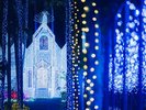 【東南植物楽園】南国イルミネーション「光のキャッスル」(ホテルから車で約15分)