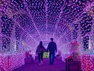 【東南植物楽園】植物園ならではの花々をモチーフにした南国イルミネーション(ホテルから車で約15分)