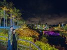 【東南植物楽園】イルミネーションアワード全国2位★冬の沖縄旅におすすめ(ホテルから車で約15分)