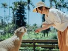 【東南植物楽園】カピバラの親子と間近で触れ合い体験(ホテルから車で約15分)