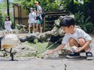 【東南植物楽園】自然さながらに暮らす鳥たちを間近で観察、エサやり体験(ホテルから車で約15分)