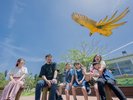 【東南植物楽園】土日祝日限定開催|色鮮やかな鳥たちのパフォーマンスショー(ホテルから車で約15分)