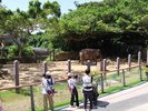 【沖縄こどもの国】大型草食動物エリアではキリン、ゾウ、カバなどが観察できる(ホテルから車で約7分)