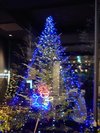 ホテルの外観にもクリスマスツリーが飾られています☆彡
