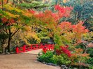 紅葉谷公園