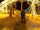 �y�ӂ�̊������z�C���~�l�[�V�����̒���������ŋ삯�����悤