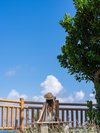 知念岬公園 沖縄南部の観光に便利なダブルツリーbyヒルトン那覇