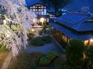 ライトアップで表情を変える空間と、春に咲くしだれ桜