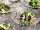 ・【夕食】前菜の一例 カジュアルフレンチのおまかせコース料理