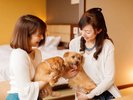 【愛犬同伴専用客室】小型犬(6kg以下)で、1室あたり2頭まで。