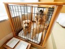 【ケージ】小型犬(6s以下)1室あたり2頭まで用のケージをご用意しております。
