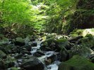 夏は渓流近くで涼みませんか?