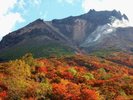 茶臼岳の紅葉はロープウェイからもお楽しみいただけます。