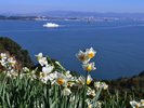 冬の景色。高台に立ち、アイランドパークの広場からは遠くに海が望めます。