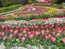 春の花壇