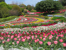 春の花壇