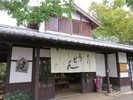 耕ちゃんうどん能古島の名産「能古うどん」をご提供しています