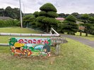 のこのこボール