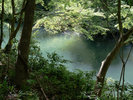 【鶴仙渓-初夏】山中温泉を流れる大聖寺川沿いに広がる美しい渓谷の美しさをご体感下さい