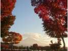 河口湖紅葉祭り