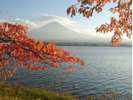 河口湖紅葉祭り