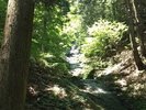 富士吉田の白糸の滝