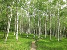 【 ECO 清掃 】連泊中の清掃を3泊ごとさせていただきます。