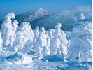 みやぎ蔵王の樹氷「写真提供:宮城県観光戦略課」