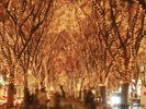 光のページェント写真提供:仙台市観光課