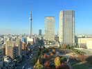 秋には錦糸公園を紅葉が彩ります
