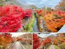 竹亭より徒歩8分「鷺湯公園」蛍、梅干オブジェも素敵ですが、11月下旬の紅葉もステキなんです!