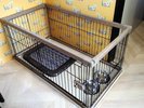 【ペット可】キャンピングトレーラー