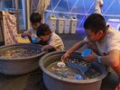 縁日(19:00〜21:00)