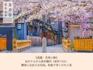 祇園・花見小路:徒歩17分