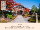 高台寺:徒歩15分