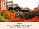 東福寺:電車5分+徒歩8分