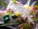 【初夏の味覚「活イカ」】6月限定・活白イカの姿造りはコリコリの食感が魅力!
