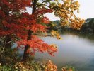 三段池紅葉