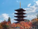 成相寺