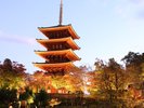 成相寺ライトアップ