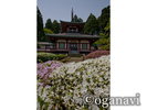 観光地 大龍寺