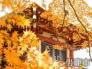 観光地 大龍寺 四季の移り変わりと共に景観が楽しめます。