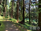 観光地 真山神社